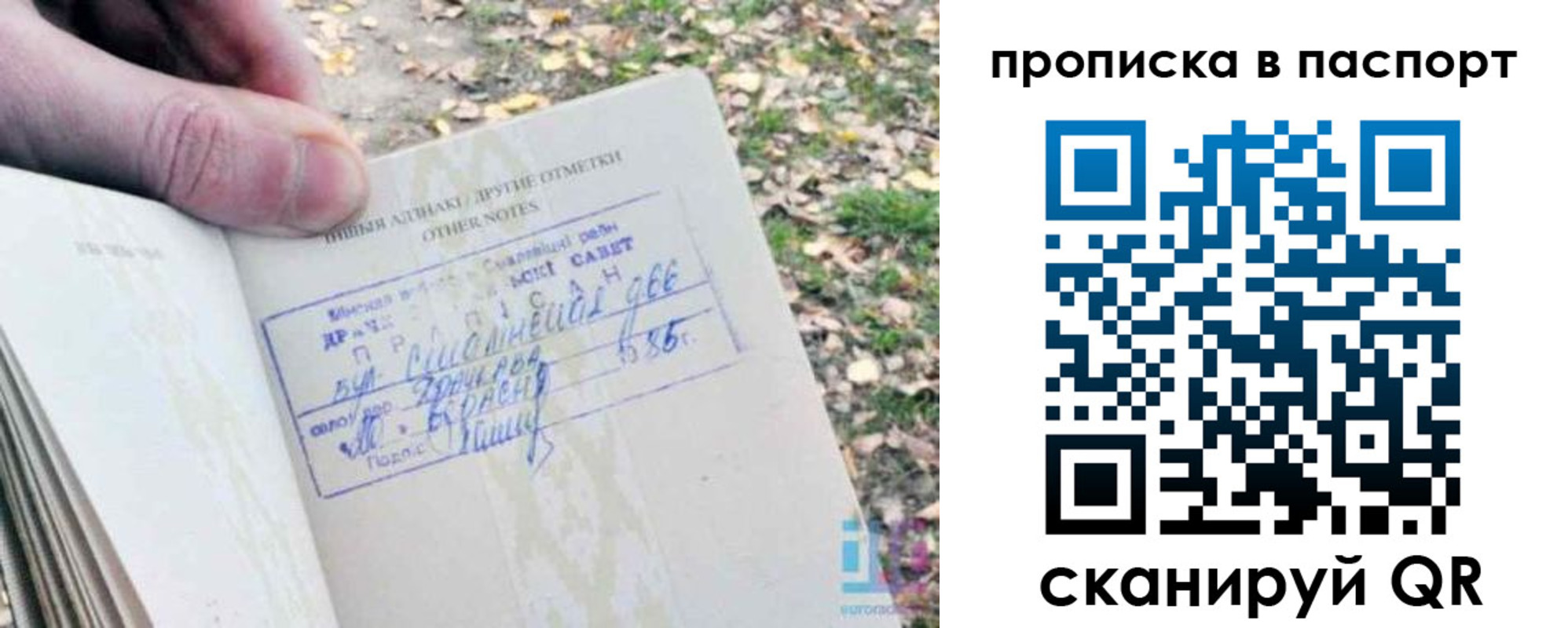 купить прописку в Озёрах